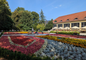 Park w Polanicy.